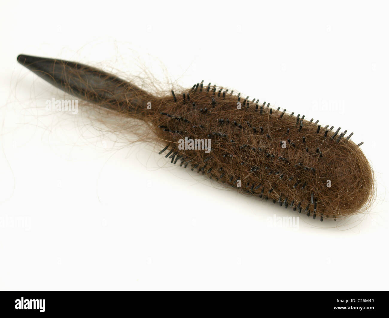 Behaarte Haarbürste Stockfoto