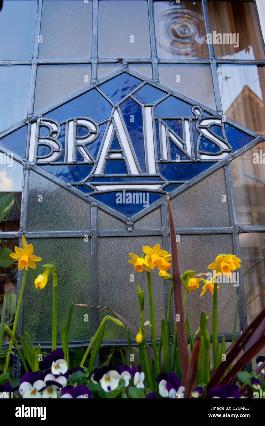 Detail der Glasfenster im The Albany Pub mit alten Gehirn Brauerei-Logo und Narzissen in Fensterbox Roath Cardiff Wales UK Stockfoto