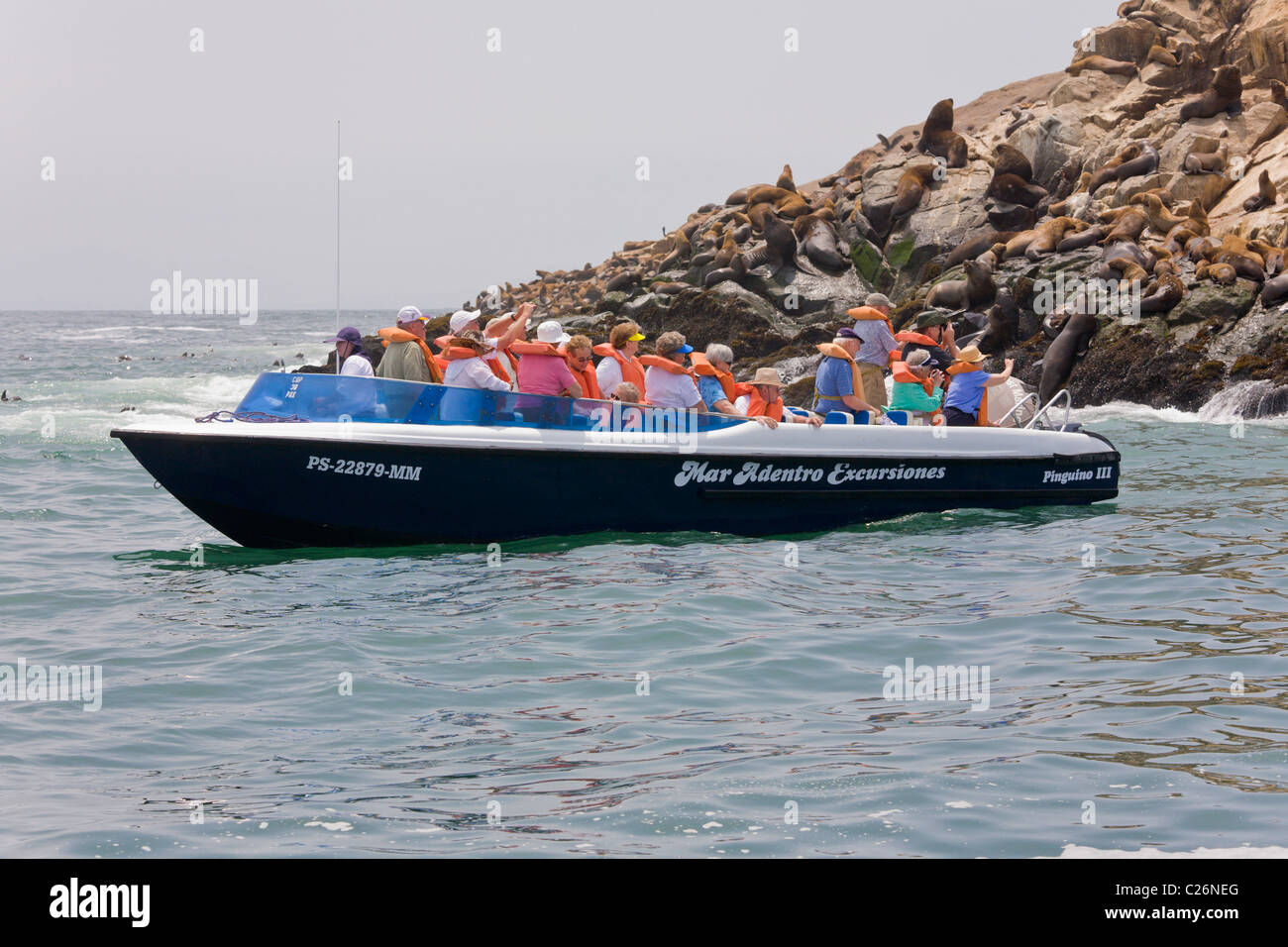 Touristenboot, Seelöwen-Kolonie, Palomino Inseln, Callao, Lima, Peru Stockfoto