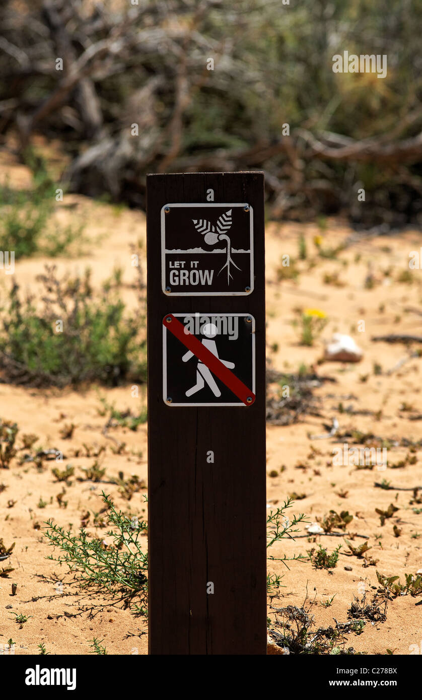 Wachsen lassen und kein Fuß Schutz der Vegetation zu signieren, Cape Range National Park, Exmouth Western Australia Stockfoto