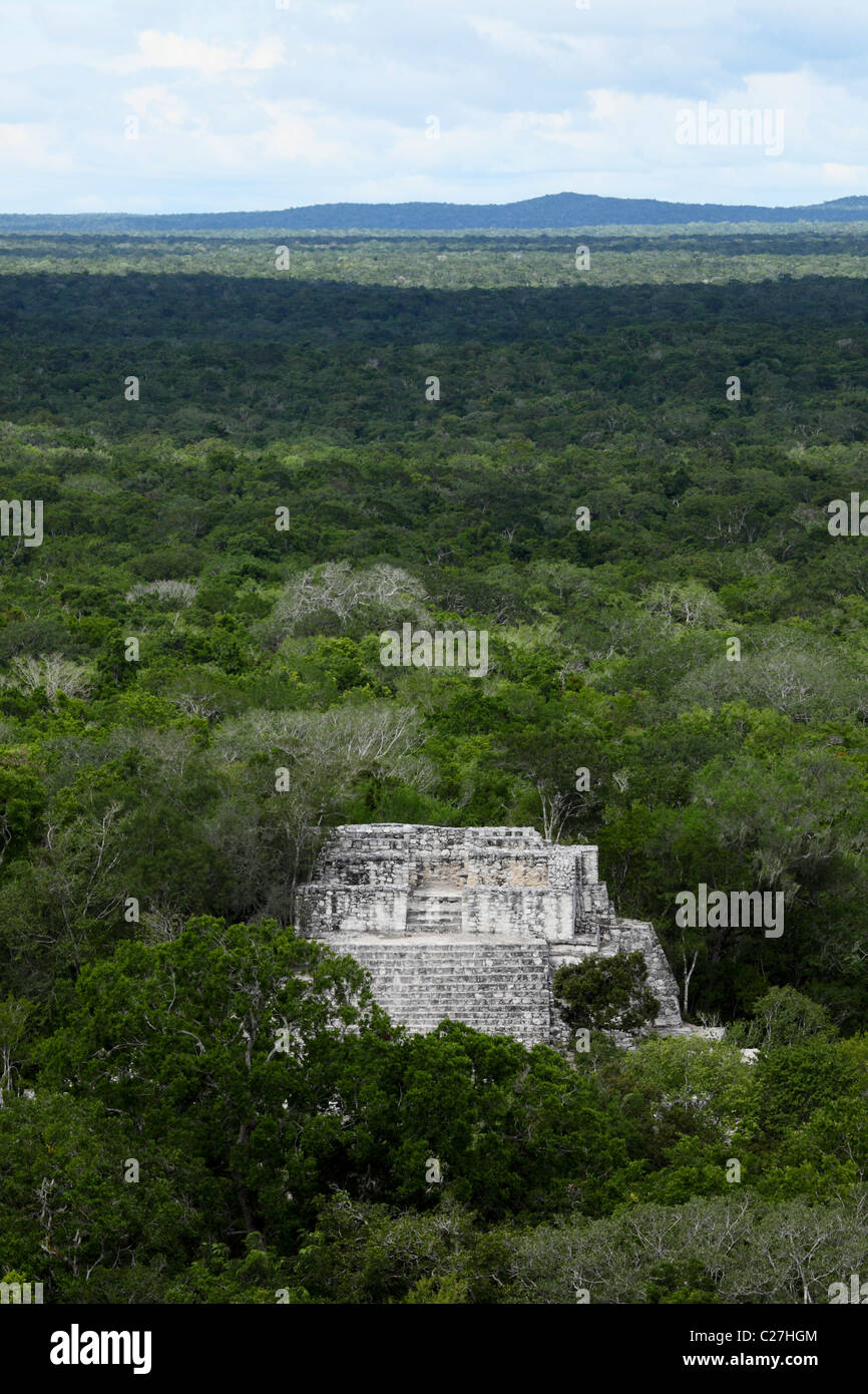 MEXIKANISCHE RUINEN VON CALAKMUL, YUCATAN, MEXIKO Stockfoto