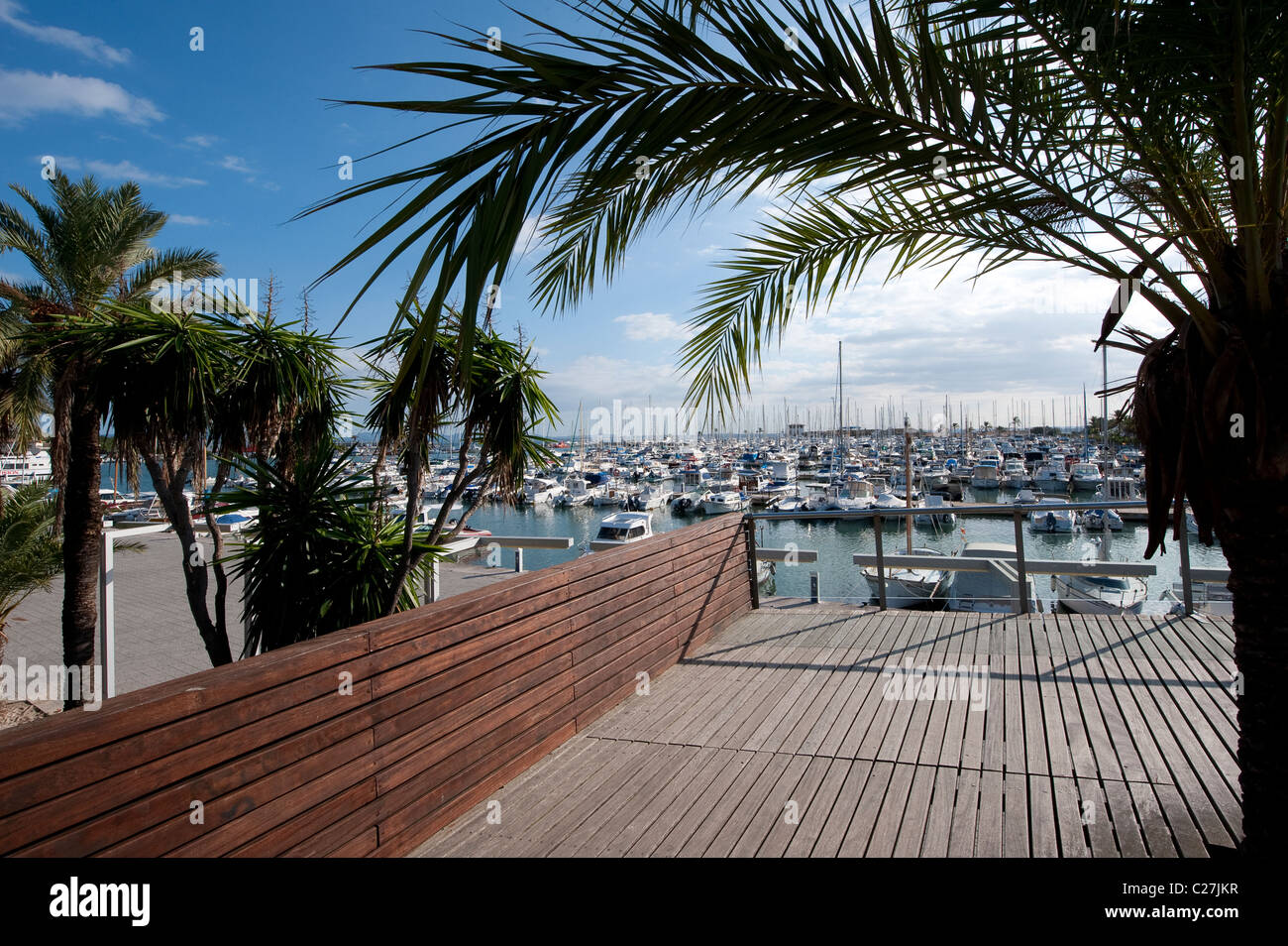 Palmen und der Jachthafen an der beliebten Ferienort Puerto de Alcudia, Mallorca, Spanien Stockfoto