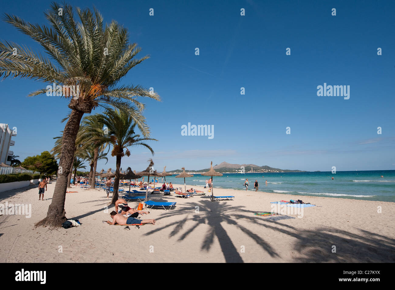 Urlauber, die zum Sonnenbaden unter Palmen am Strand im schönen Spanisch Resort Puerto de Alcudia Stockfoto