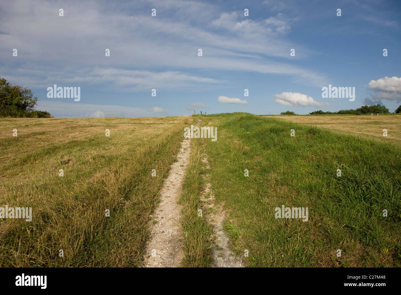 Feldweg Stockfoto