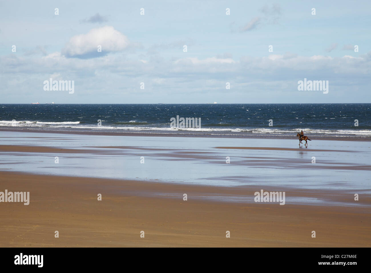 Pferd am Strand von Saltburn Stockfoto