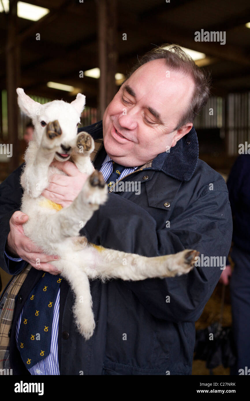 Alex Salmond Highland Wahl tour Stockfoto