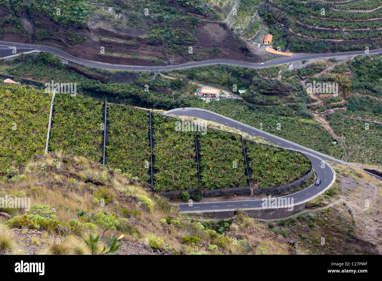 La Palma Kanarische Insel Spanien Europa Stockfoto