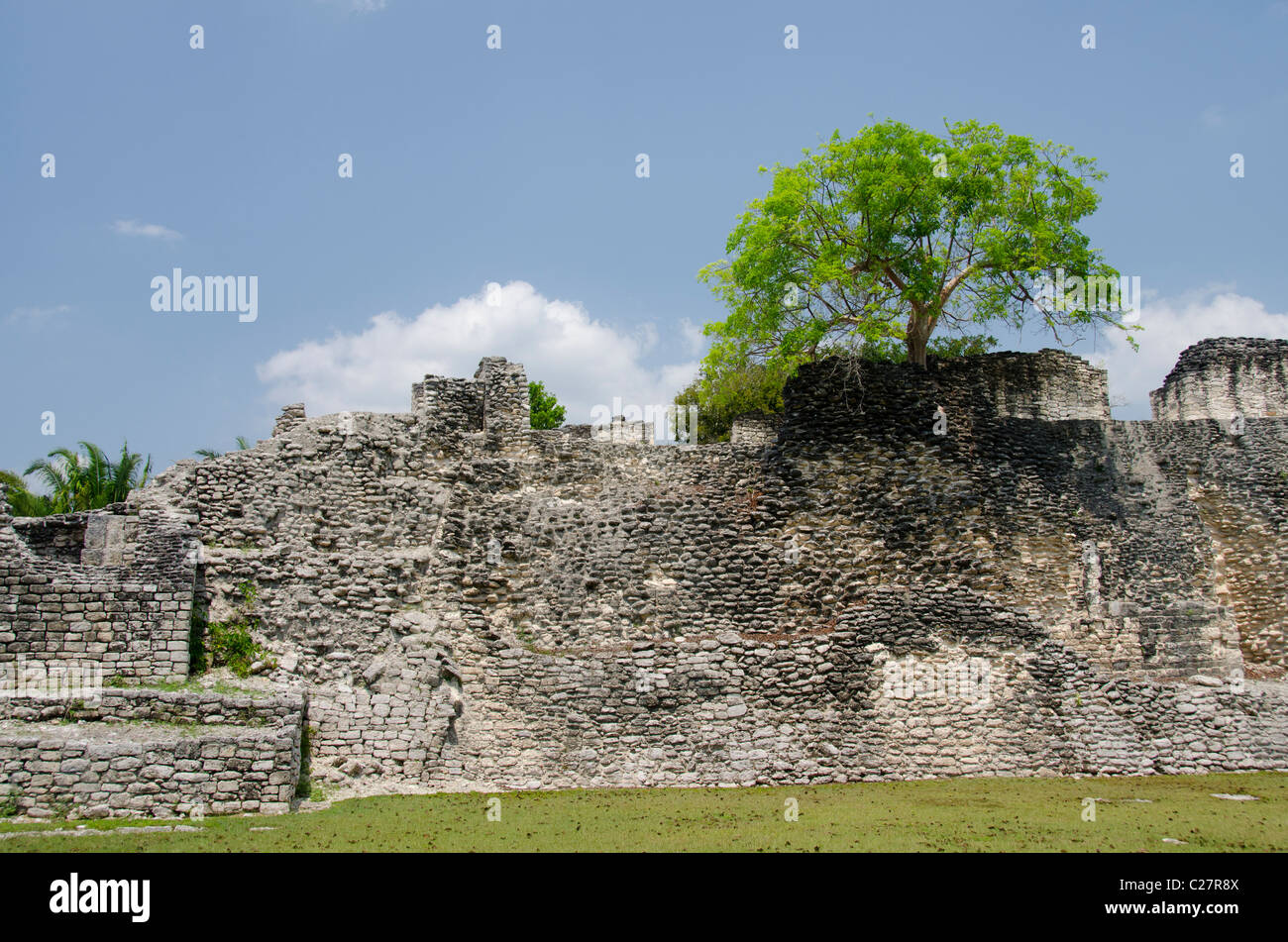 Quintana Roo, Mexiko, Yucatan-Halbinsel in der Nähe von Costa Maya. Kohunlich Maya-Ruinen. Stockfoto