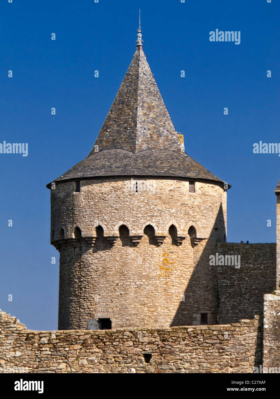 Turm, Château de Suscinio, Presqu'Île de Rhuys, Morbihan, Bretagne, Frankreich, Europa Stockfoto
