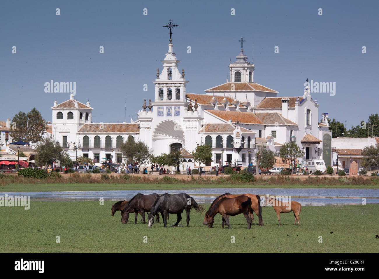 Marismena Pferde grasen in den Sümpfen in El Rocio, Andalusien, Spanien Stockfoto