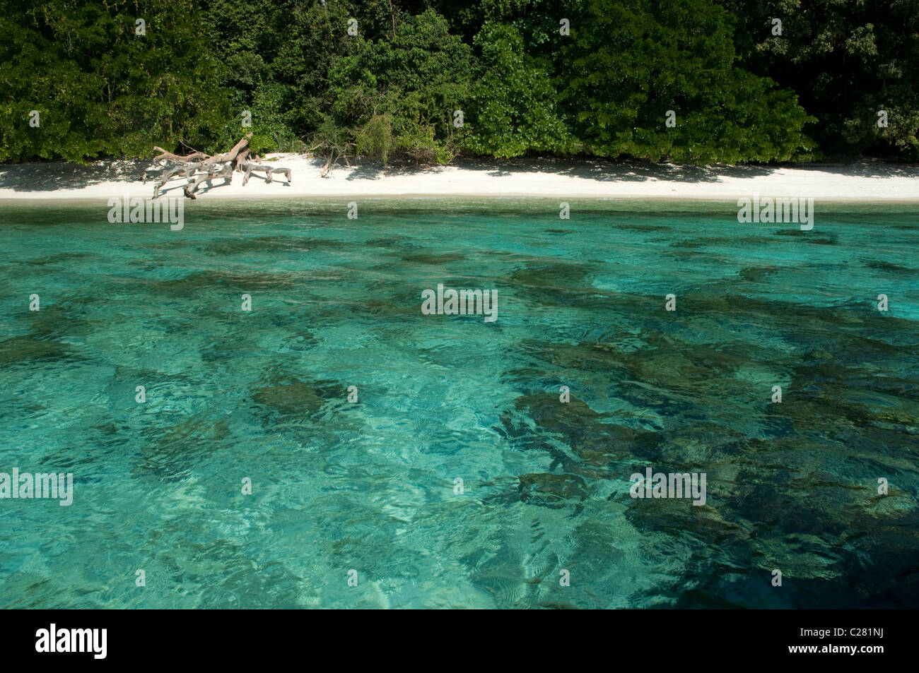 Türkisfarbenes Meerwasser, Tarutao National Marine Park, Thailand Stockfoto