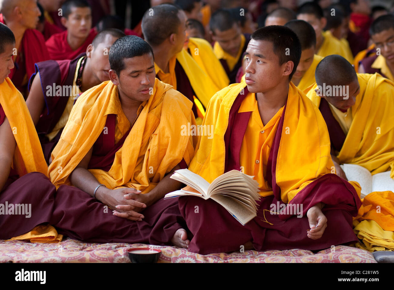 Junge Mönche in gelben Roben zu meditieren, um die Aufklärung über eine Mönlam buddhistische Festival im Mahabodhi-Tempel zu erreichen Stockfoto