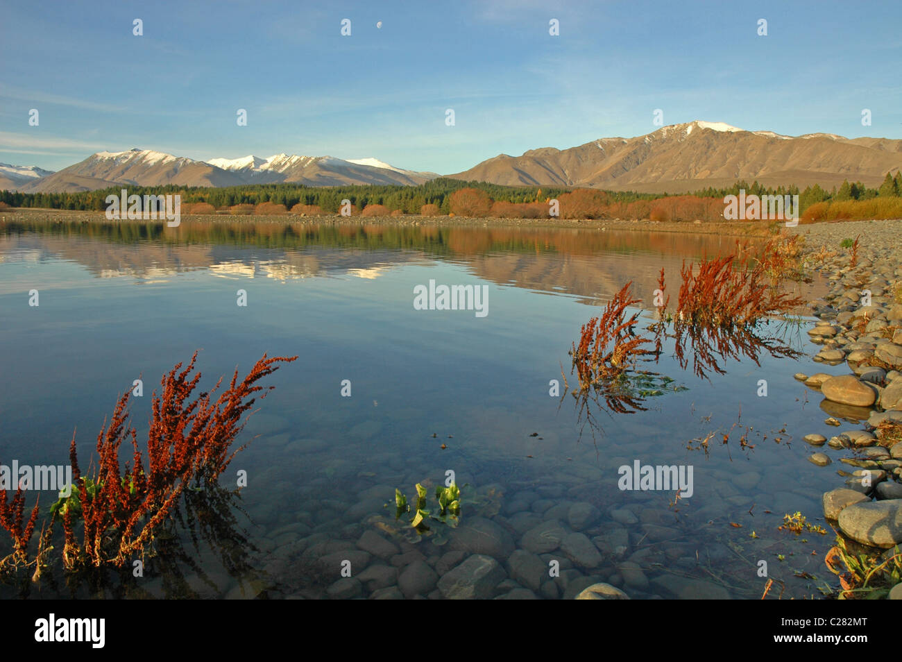 Lake Tekapo. Neuseeland Stockfoto