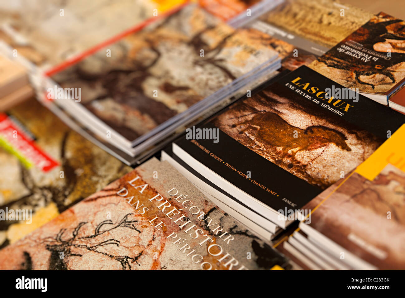 Bücher über Höhlenkunst Angebote Les Eyzies Dordogne Frankreich Stockfoto