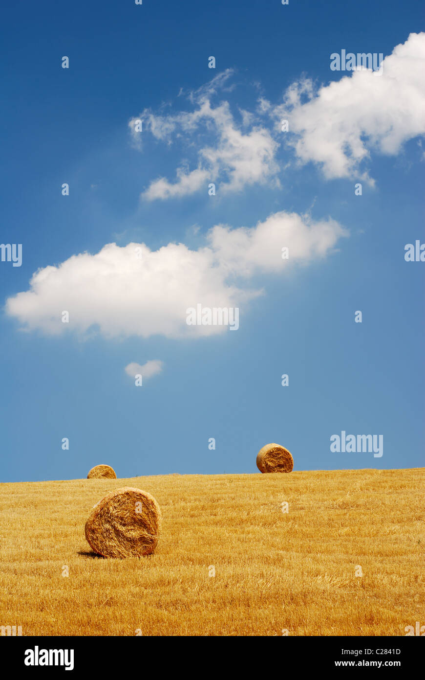 Stroh Feld mit Ballen unter blauem Himmel Stockfoto