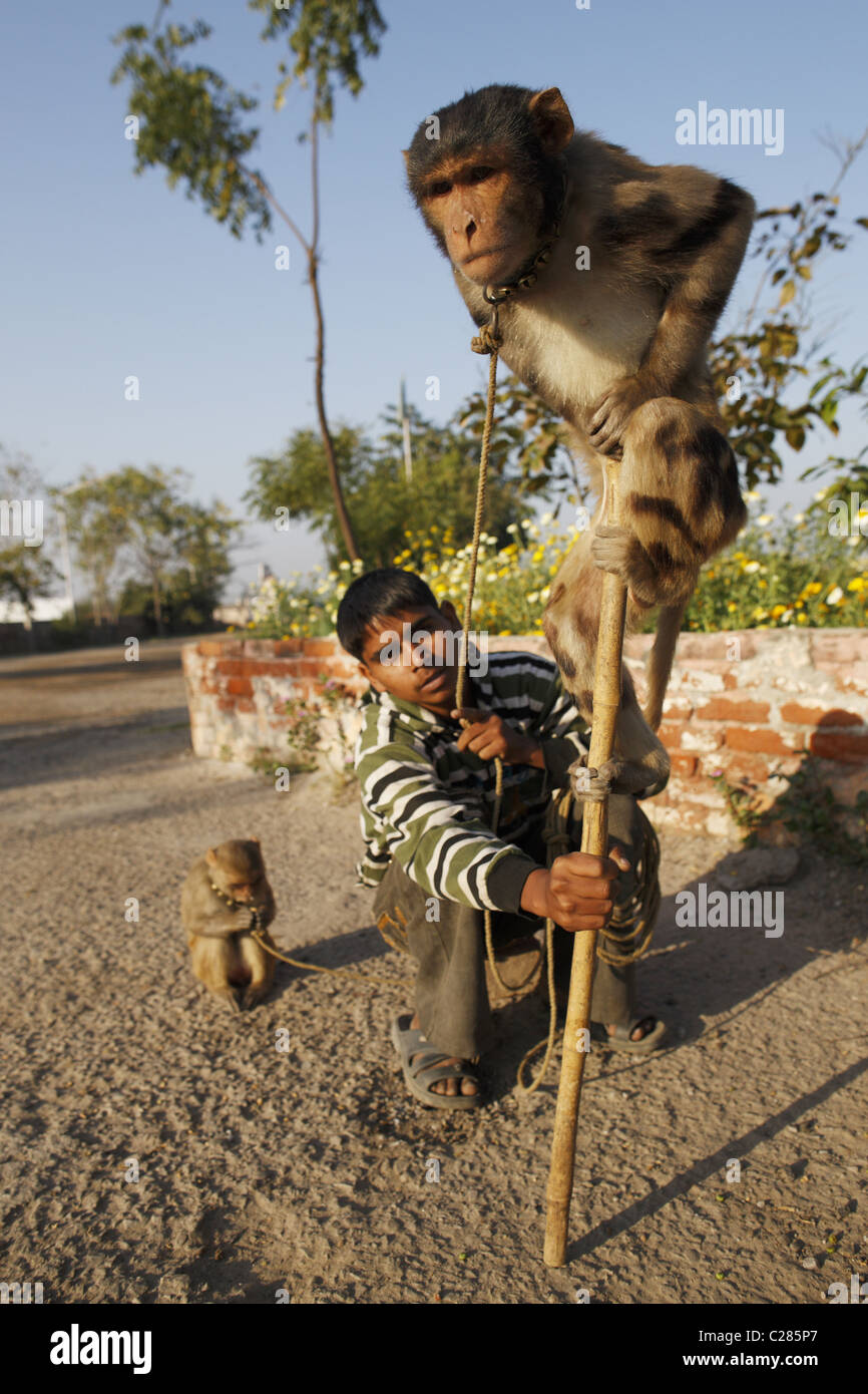 IND, Indien, 20110310, Mann mit einem Affen Stockfoto