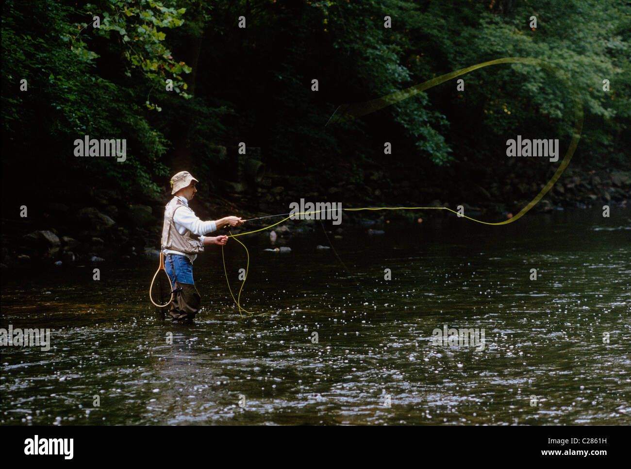Fliegenfischer Gießen seine Linie in einem Stream in Fairmount Park, Philadelphia, Pennsylvania, USA Stockfoto