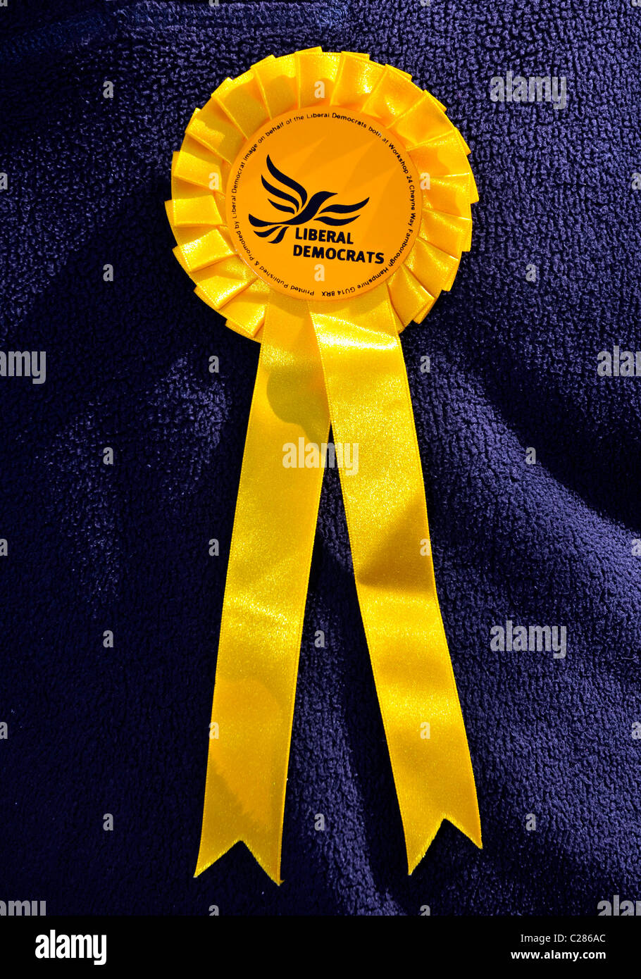 Liberal-Demokraten politische Partei Rosette, England, UK Stockfoto