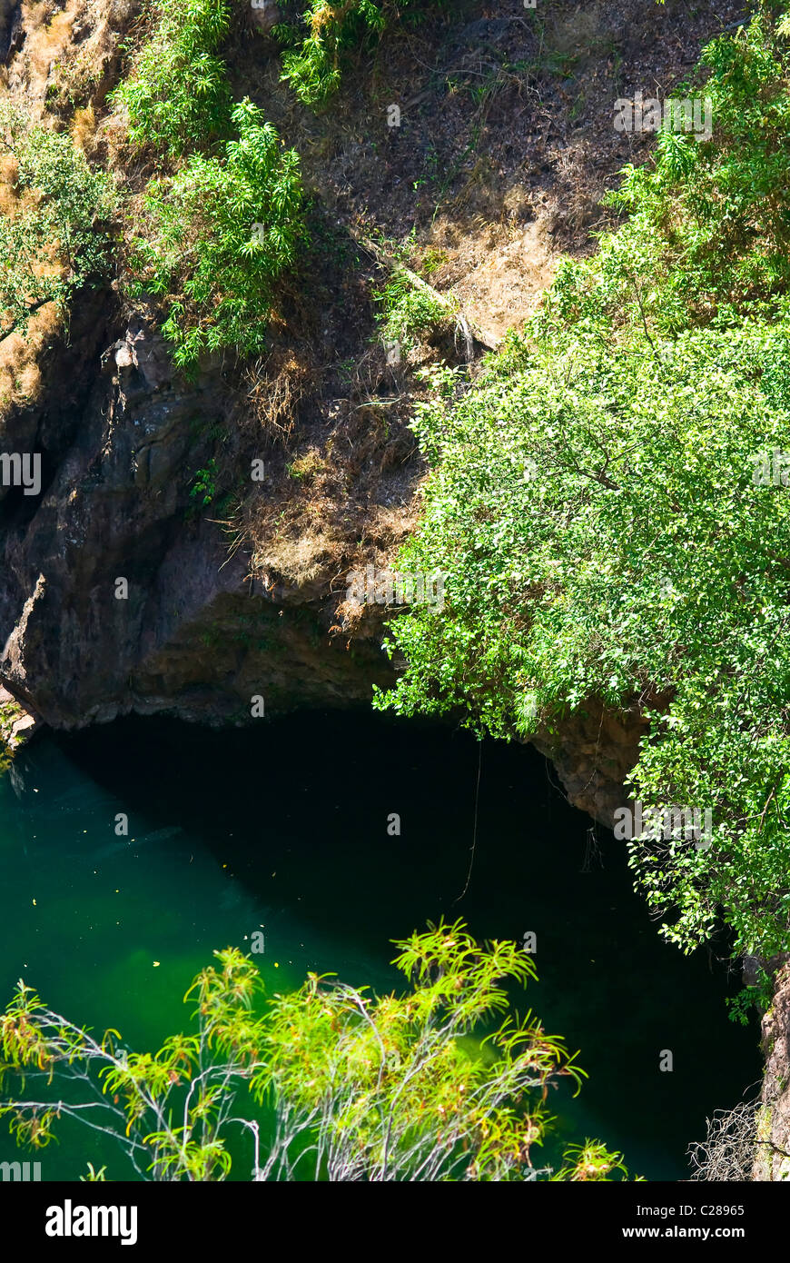 Eine tiefgrüne Lache des Wassers an der Basis eine Sandstein-Doline. Stockfoto