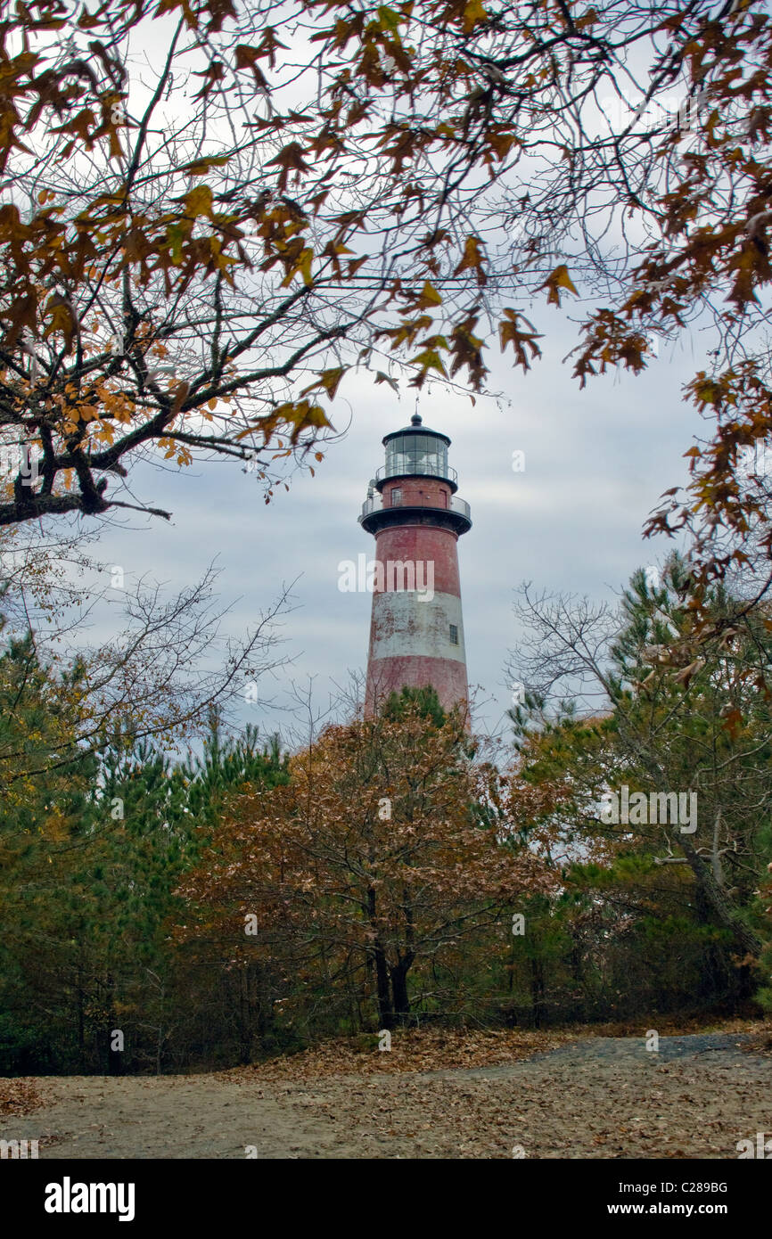 Blick auf Leuchtturm Assateague Insel in Accomack County Virginia Stockfoto