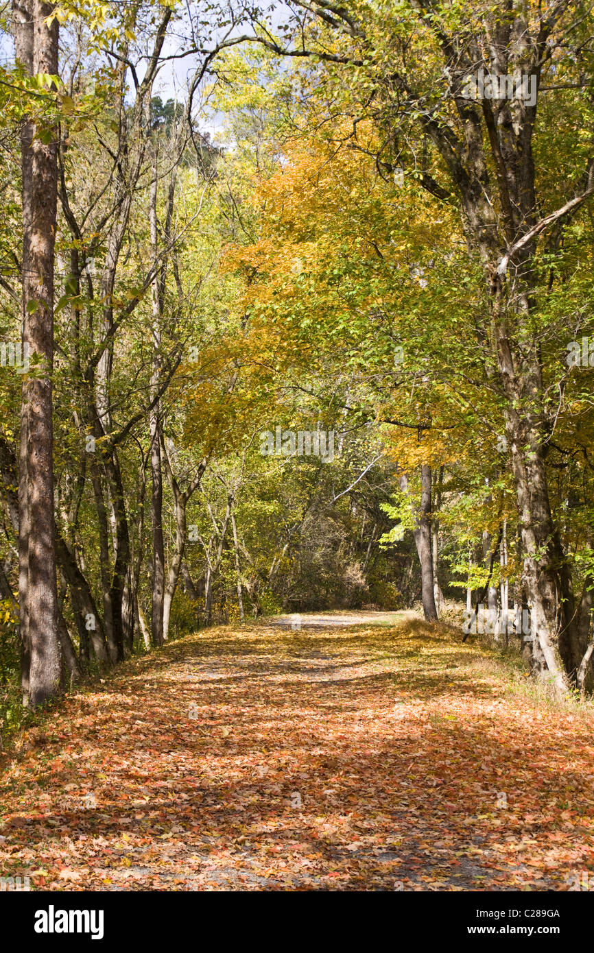 Herbst Schlepptau Kiesweg führt der Paw Paw Tunnel entlang Chesapeake Ohio Canal nationaler historischer Park Allegany County Maryland Stockfoto