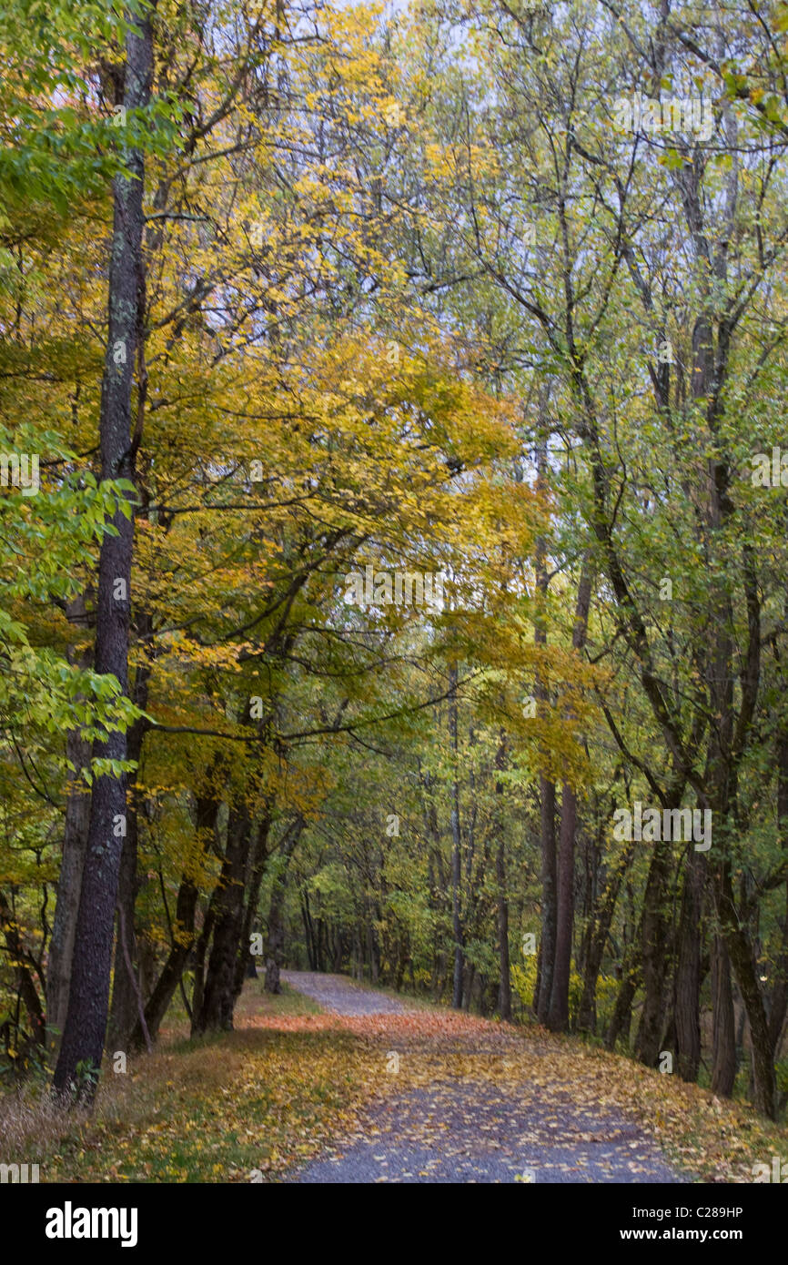 Herbst Schlepptau Kiesweg führt der Paw Paw Tunnel entlang Chesapeake Ohio Canal nationaler historischer Park Allegany County Maryland Stockfoto