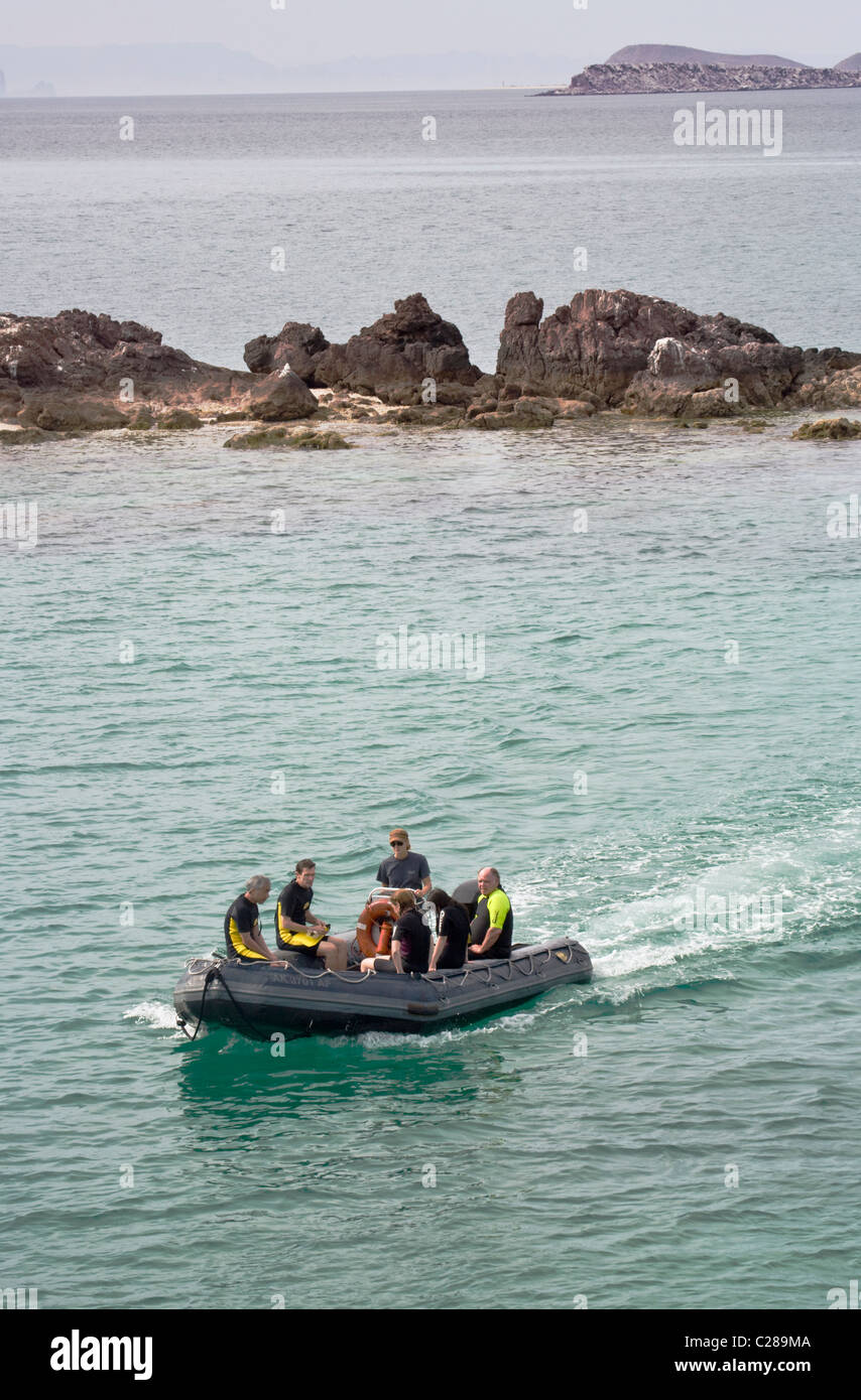 Safari-Quest Kreuzfahrt Passagiere Rückkehr aus Schnorcheln am Los Islotes Rookery, Sea of Cortez, Baja California, Mexiko. Stockfoto