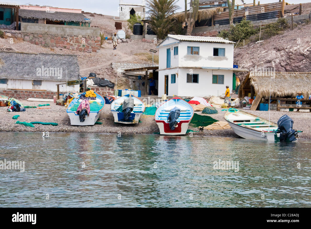 Isla Coyote (Pardito), ein kleines Fischerdorf-Insel im Meer von Cortez, Baja California, Mexiko Stockfoto