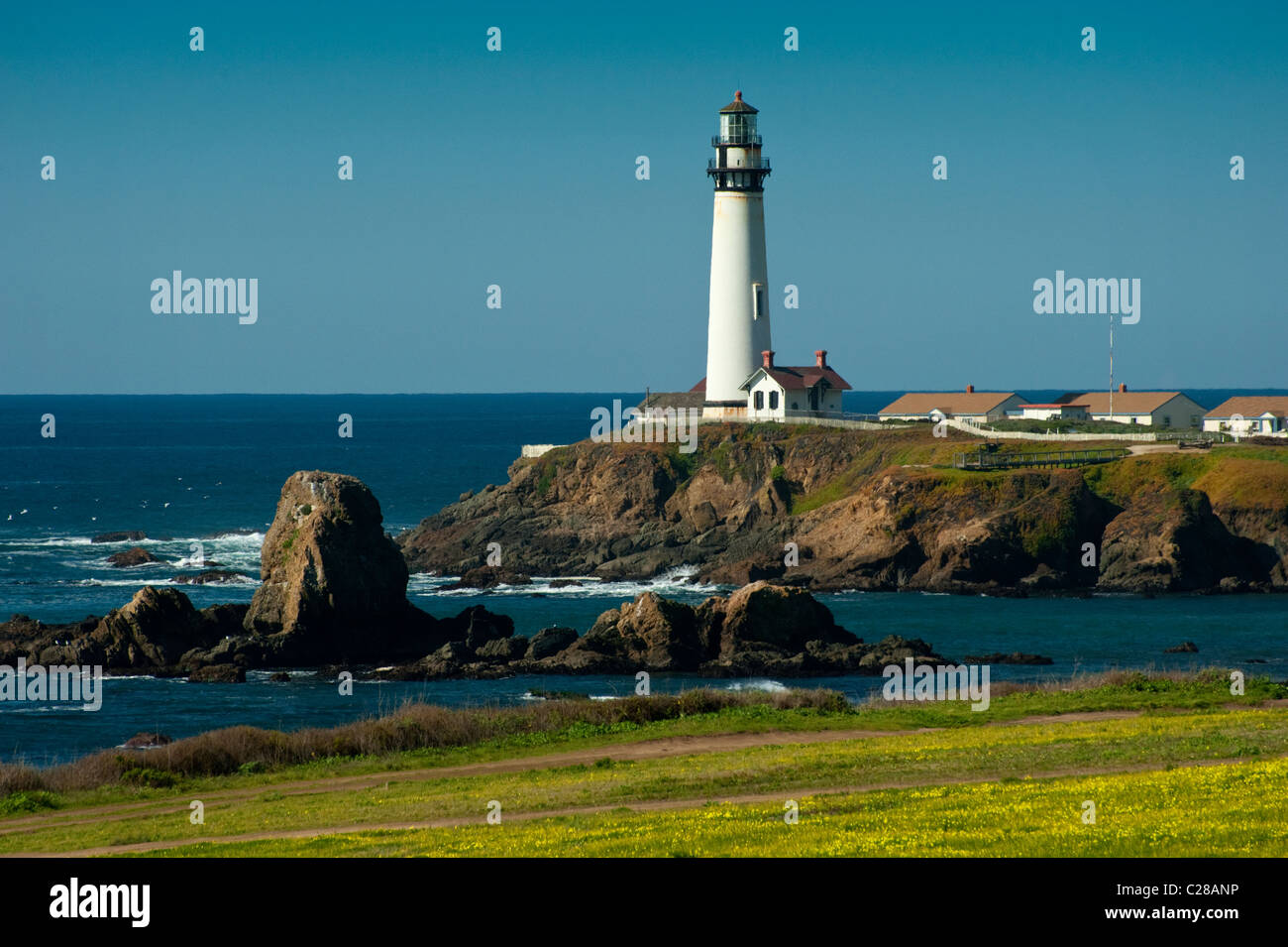 Hoch auf einer Klippe an der zentralen Küste Kaliforniens, ist 50 Meilen südlich von San Francisco, 115 Fuß Pigeon Point Lighthouse. Stockfoto