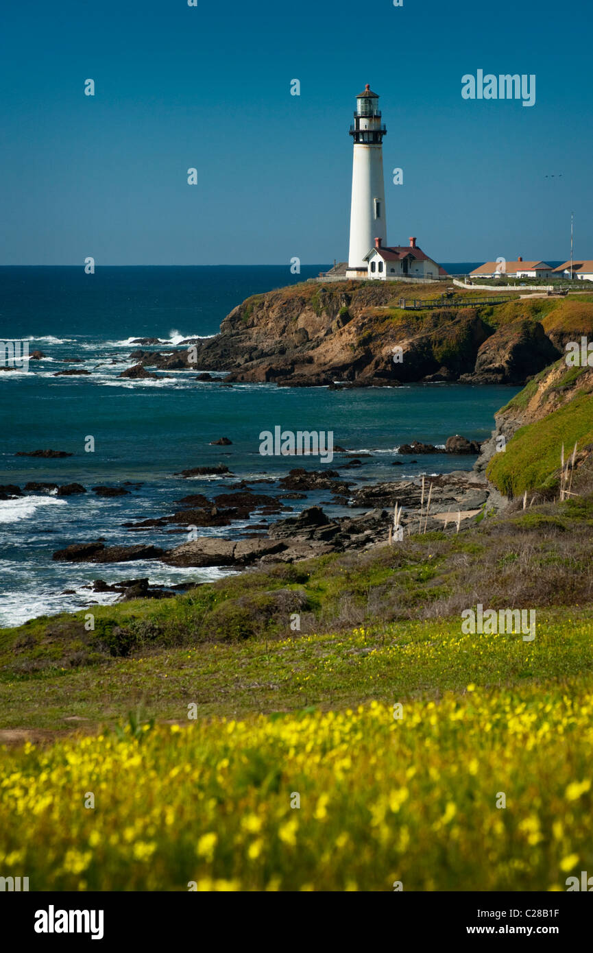 Hoch auf einer Klippe an der zentralen Küste Kaliforniens, ist 50 Meilen südlich von San Francisco, 115 Fuß Pigeon Point Lighthouse. Stockfoto