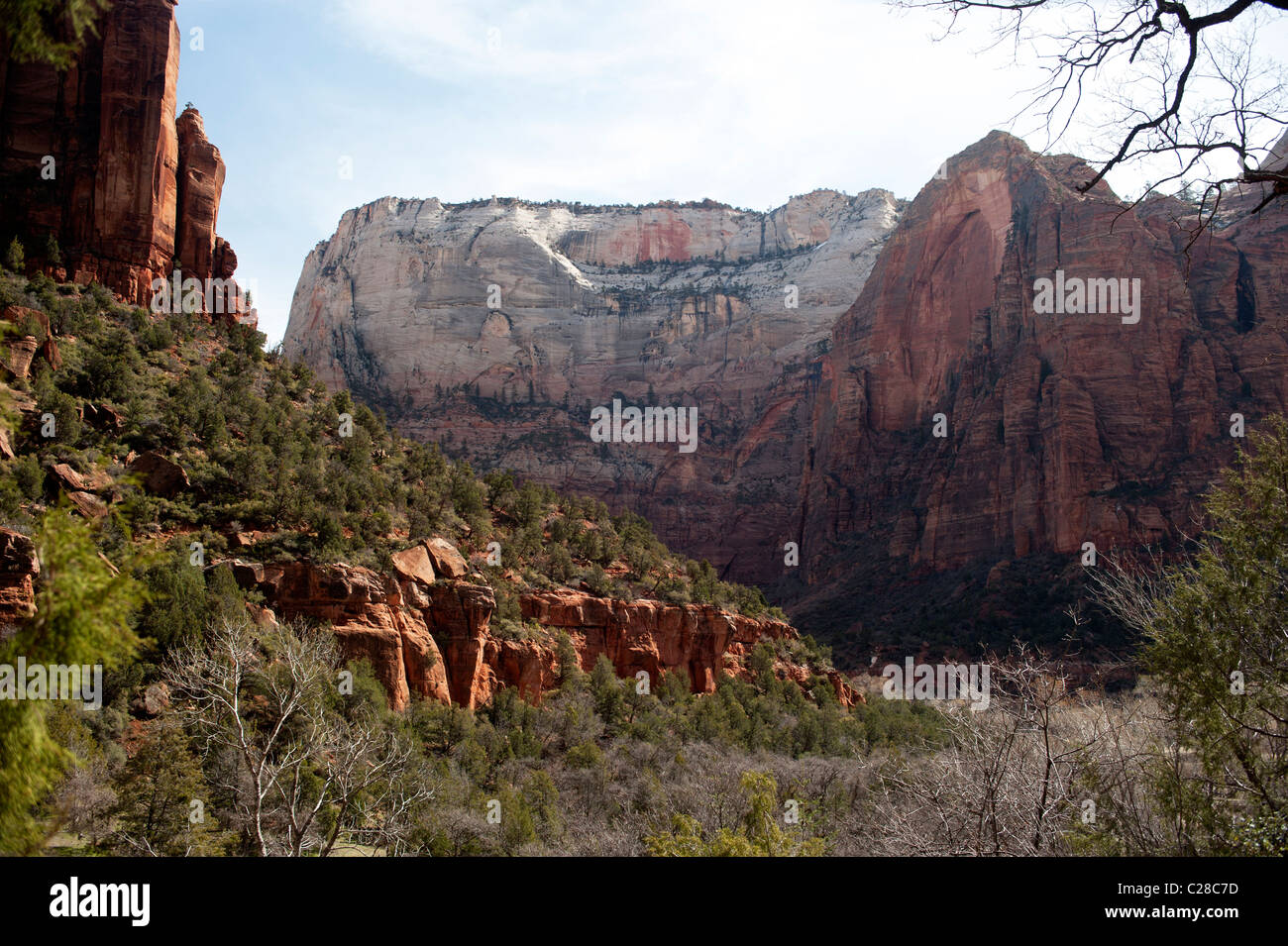 Die großen weißen Thron und roter Bogen Berg an einem frühen Frühlingsmorgen im Zion National Park. Stockfoto