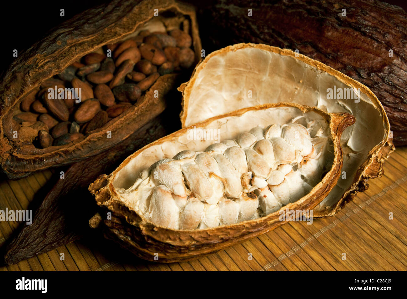 Kakaobohnen-Hülsen mit Schokolinsen in Theobroma Frucht Stockfotografie ...