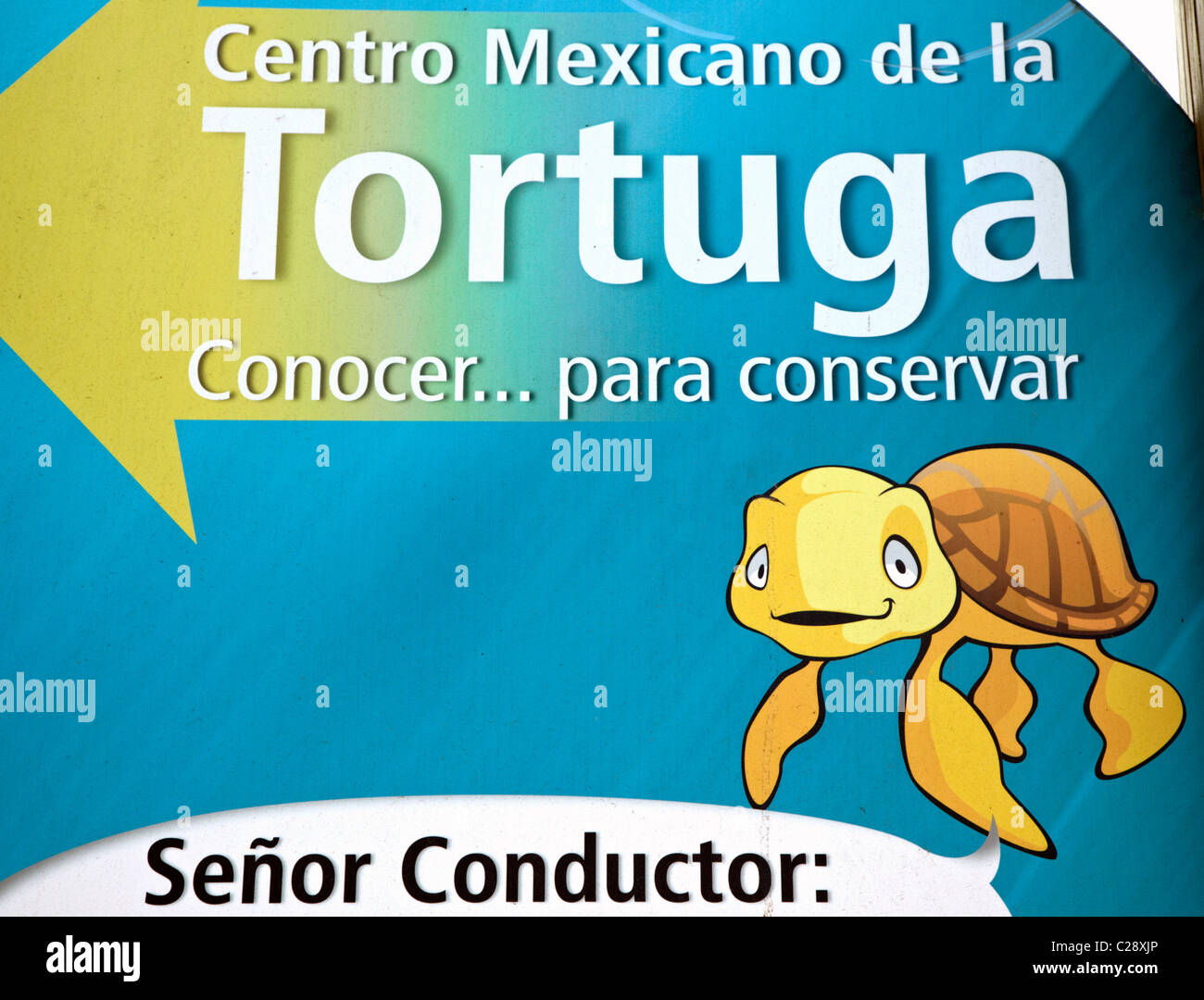 Werbung für die Turtle Conservation Center Mazunte Oaxaca Staat Mexiko Stockfoto
