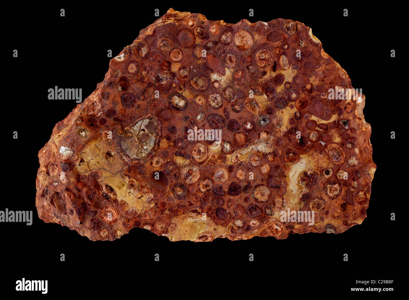 Bauxit mit rotem Ocker - Dixie Mine - Pulaski County - Arkansas - USA - das wichtigste Erz aus Aluminium Stockfoto