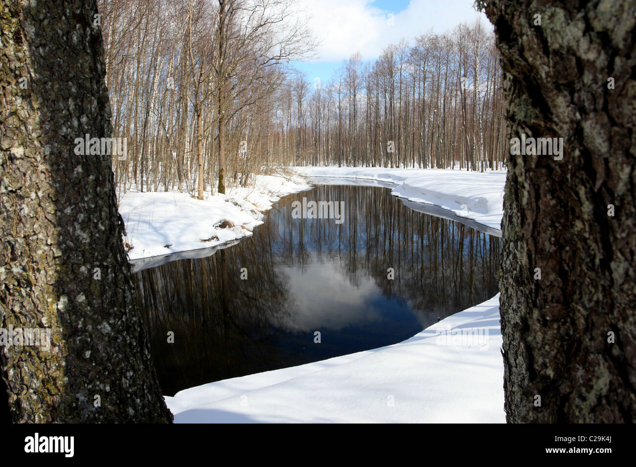 Aufgetaut Fluß (Mudajõgi) im Winter. Estland Stockfoto