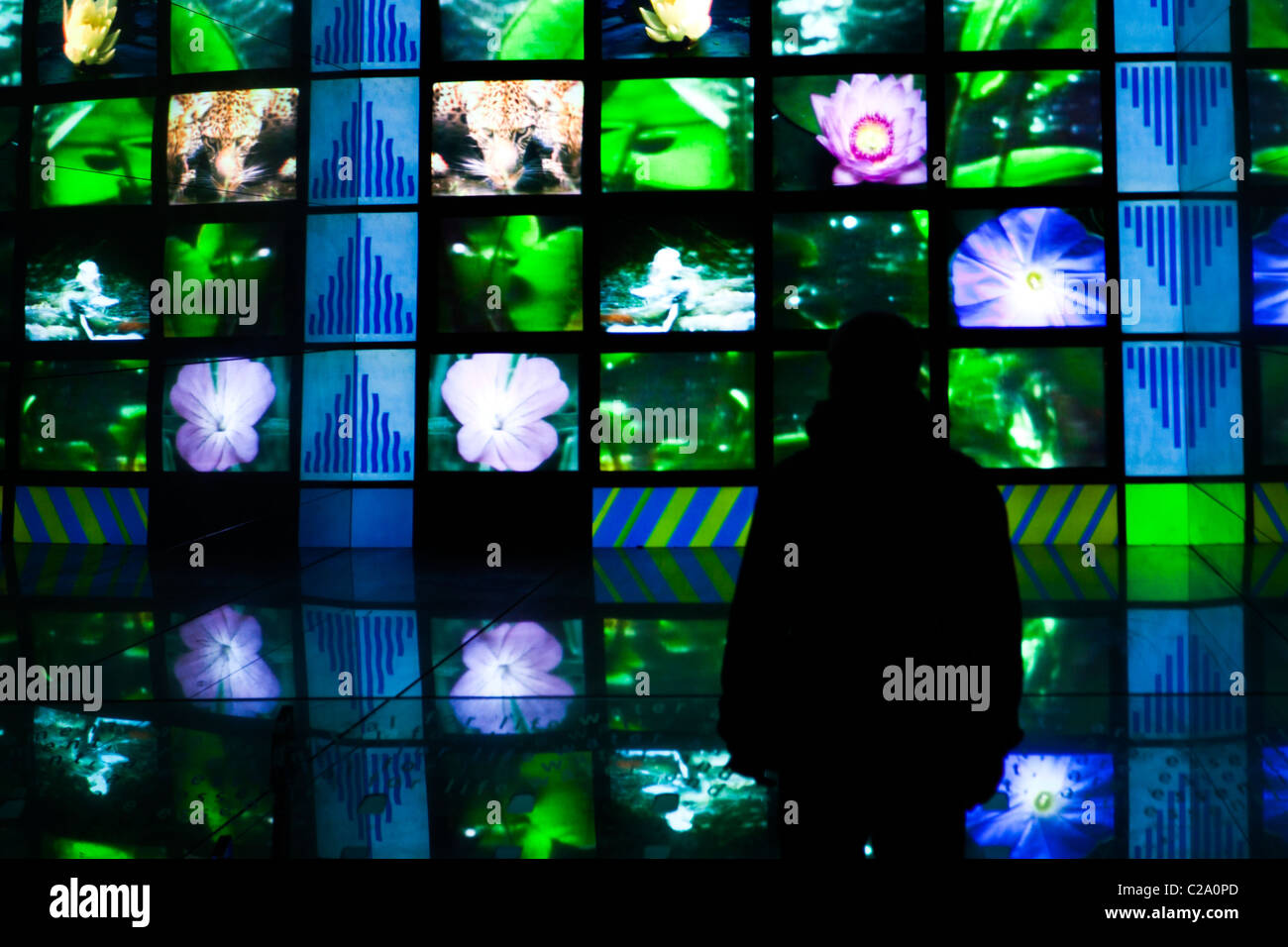 England, London, die Royal Borough of Kensington und Chelsea, Natural History Museum. Touristen, die gerade einer multimedialen Ausstellung Stockfoto