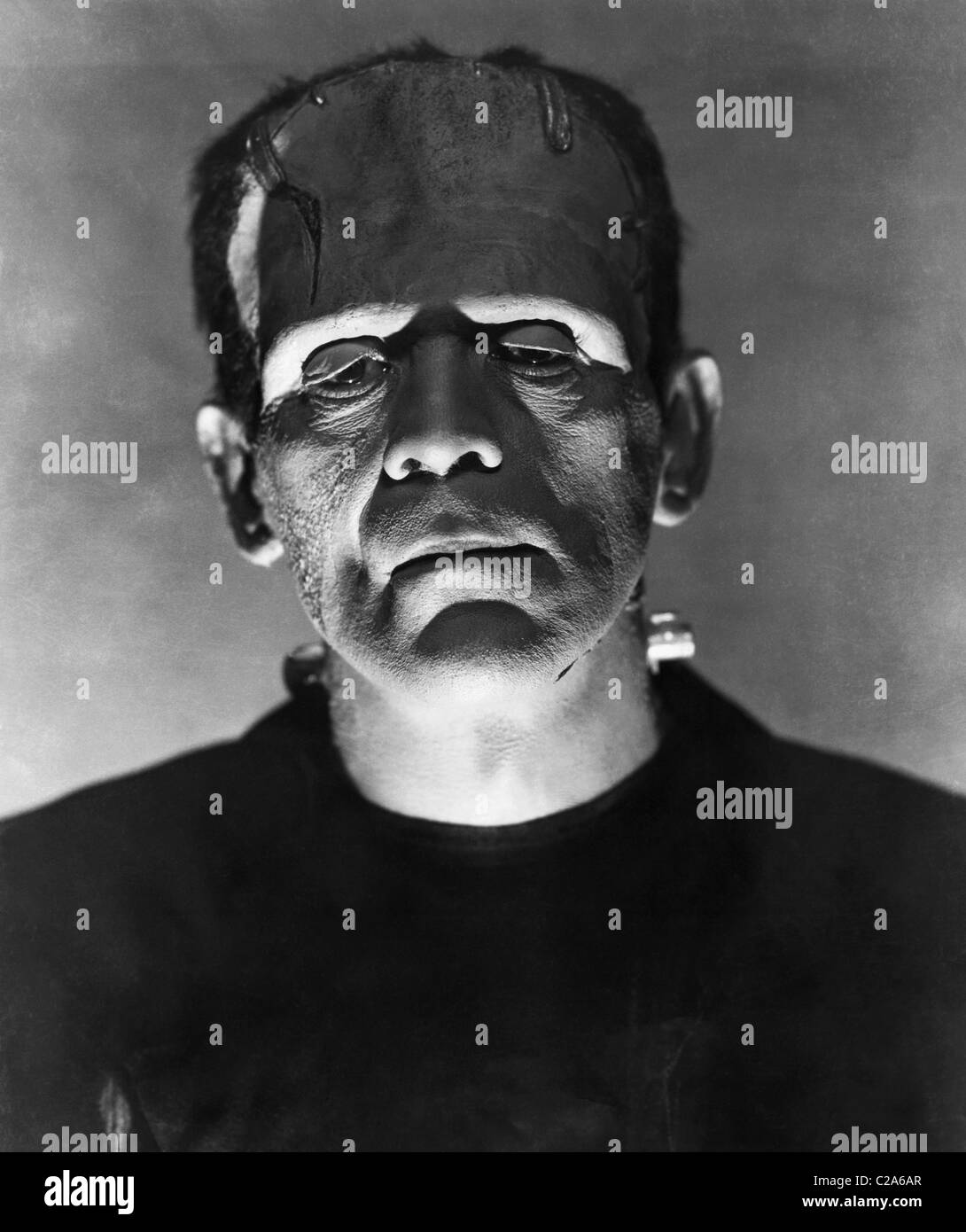 DIE BRAUT VON FRANKENSTEIN (1935) BORIS KARLOFF, JAMES WHALE (DIR) UVAM 013 MOVIESTORE SAMMLUNG LTD Stockfoto