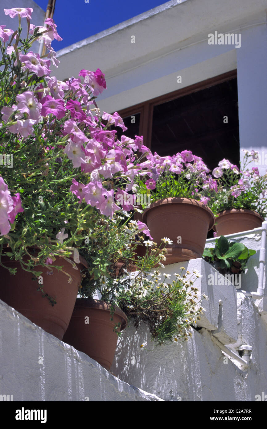 Bunte Blumen schmücken einen zypriotischen Haus. Stockfoto
