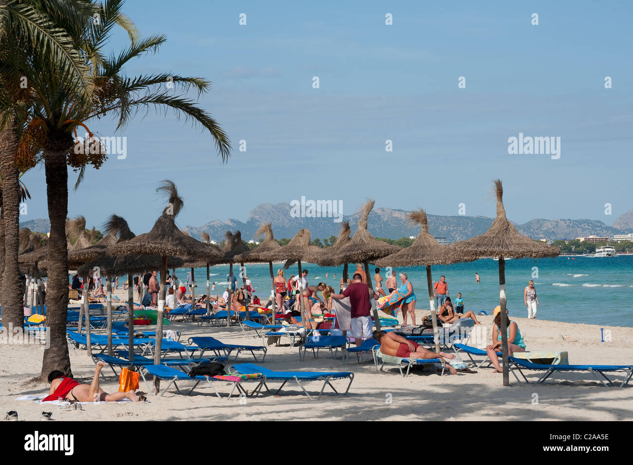 Urlauber, die zum Sonnenbaden unter Palmen am Strand im schönen Spanisch Resort Puerto de Alcudia Stockfoto