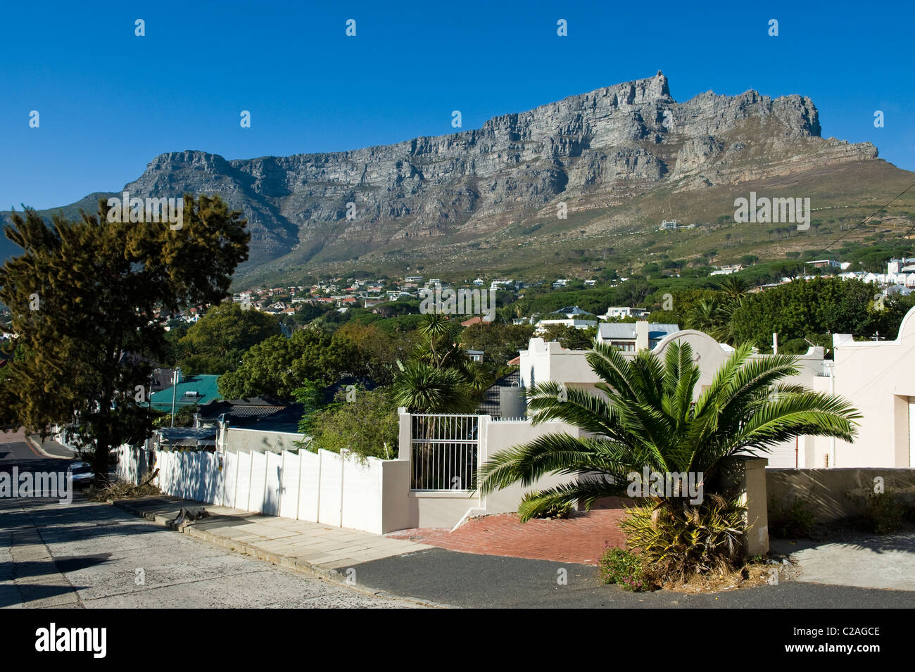 Table Mountain View aus dem Stadtteil Oranjezicht, Kapstadt, Südafrika Stockfoto