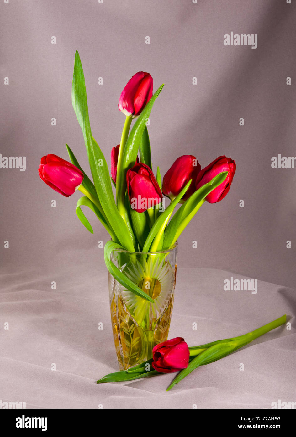 Rote Tulpen im Glas Vase Dew Drops Nebel Kristallwasser auf Blumen  Komposition Arrangement Stillleben Top gesetzte Ausschneiden  Stockfotografie - Alamy