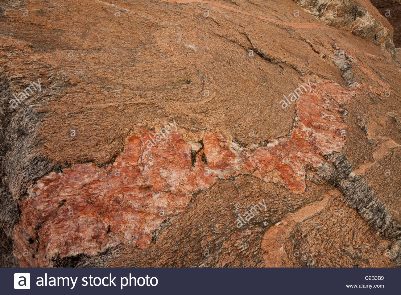 Detail einer Quarzader in Zoraster Gneis. Stockfoto