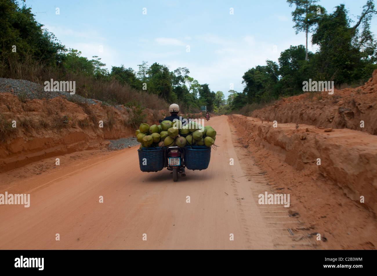 Reiten Kokosnüsse zu Hause auf der Insel Phu Quoc in Vietnam Stockfoto