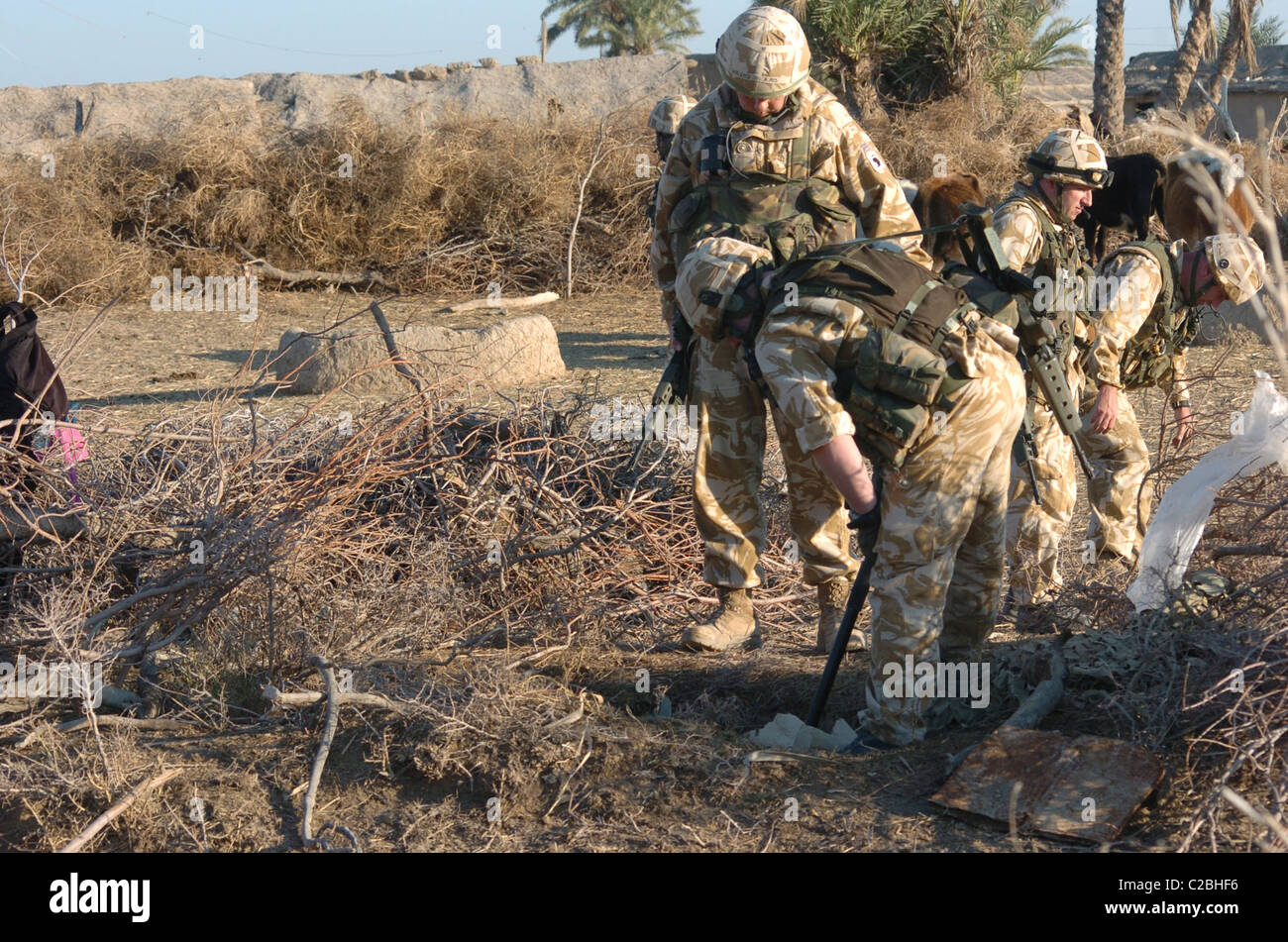 Waffen Geldstrafe im Irak von den Welsh Guards Kampfgruppe, einige weer in den Sumpf landet auf der Grenze zum Iran Stockfoto