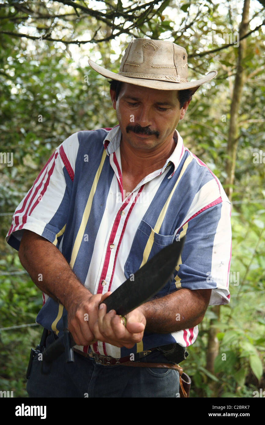 Costa Rica Mann schneiden eine Macadamia-Nuss geöffnet. Stockfoto