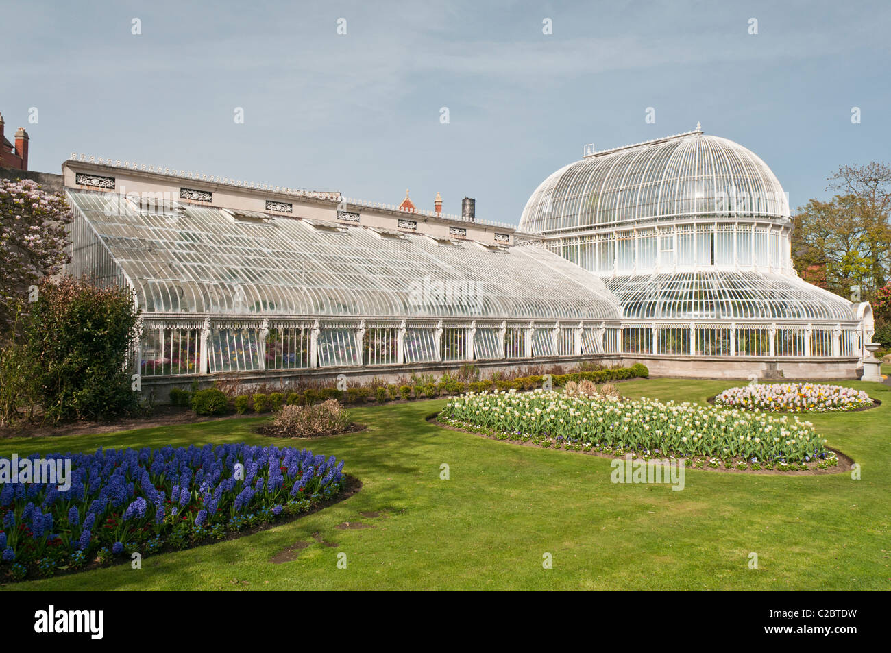 Viktorianische Palm House, botanischen Gärten, Belfast Stockfoto