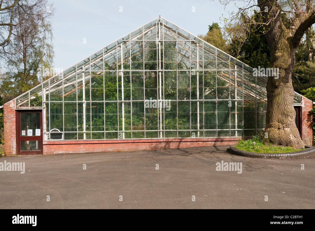 Tropische Schlucht, botanischen Gärten, Belfast Stockfoto
