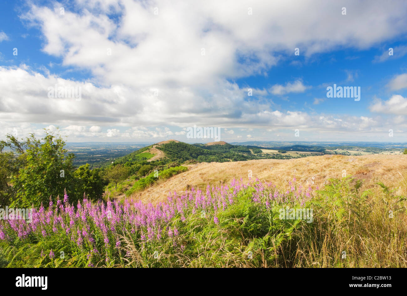 Die Malvern Hills; Worcestershire; Cotswolds; England Stockfoto