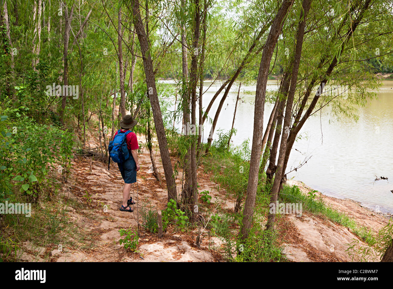 Frau Wandern an den Ufern des Brazos River Stephen F. Austin State Park San Felipe-Texas-USA Stockfoto