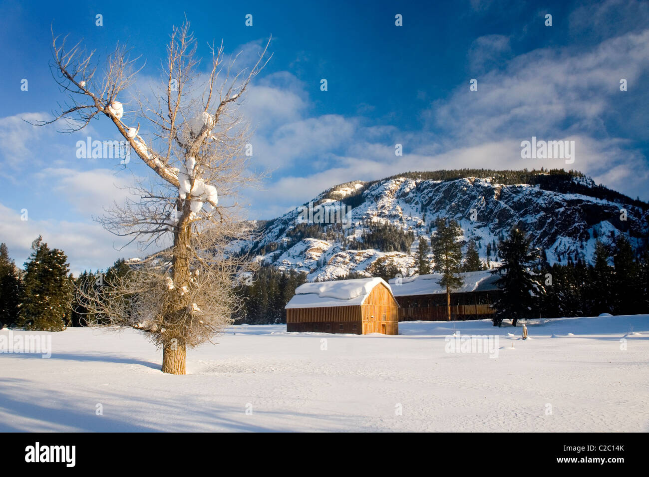 Schneebedeckte Scheunen in den oberen Methow Valley-Washington-USA Stockfoto